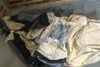 orb-2012300812-od-081512130_3.jpg