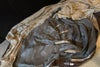 orb-2509160812-od-081563809_4.jpg