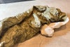 orb-2512100810-od-081566354_6.jpg