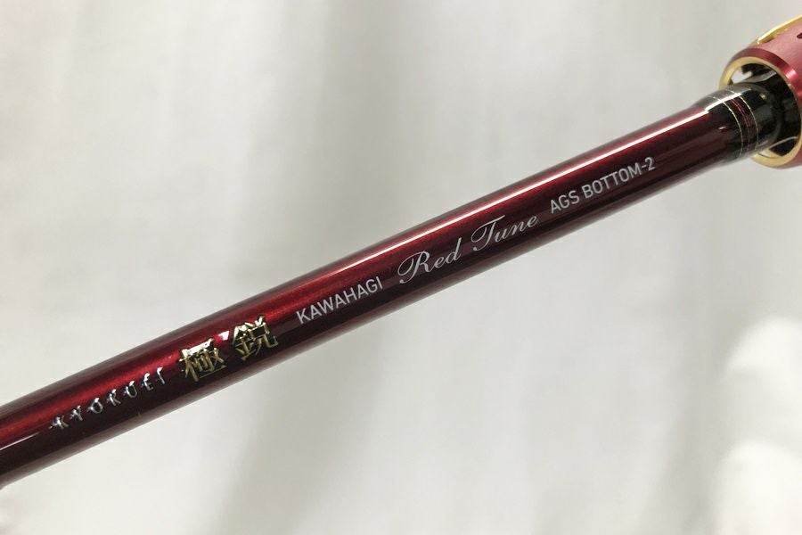 ◇DAIWA ダイワ 19極鋭 カワハギ RT AGS BOTTOM-2 2本継