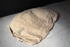 orb-2603090802-od-081568180_7.jpg