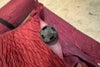 orb-2603310819-od-081568857_4.jpg