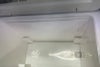 orb-2604080812-od-081568799_3.jpg