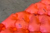 orb-2605190814-od-081570155_5.jpg