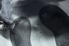 orb-2605230818-od-081570333_6.jpg