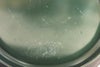 orb-2606142805-od-081562856_8.jpg