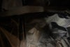 orb-2610250805-od-291024539_6.jpg